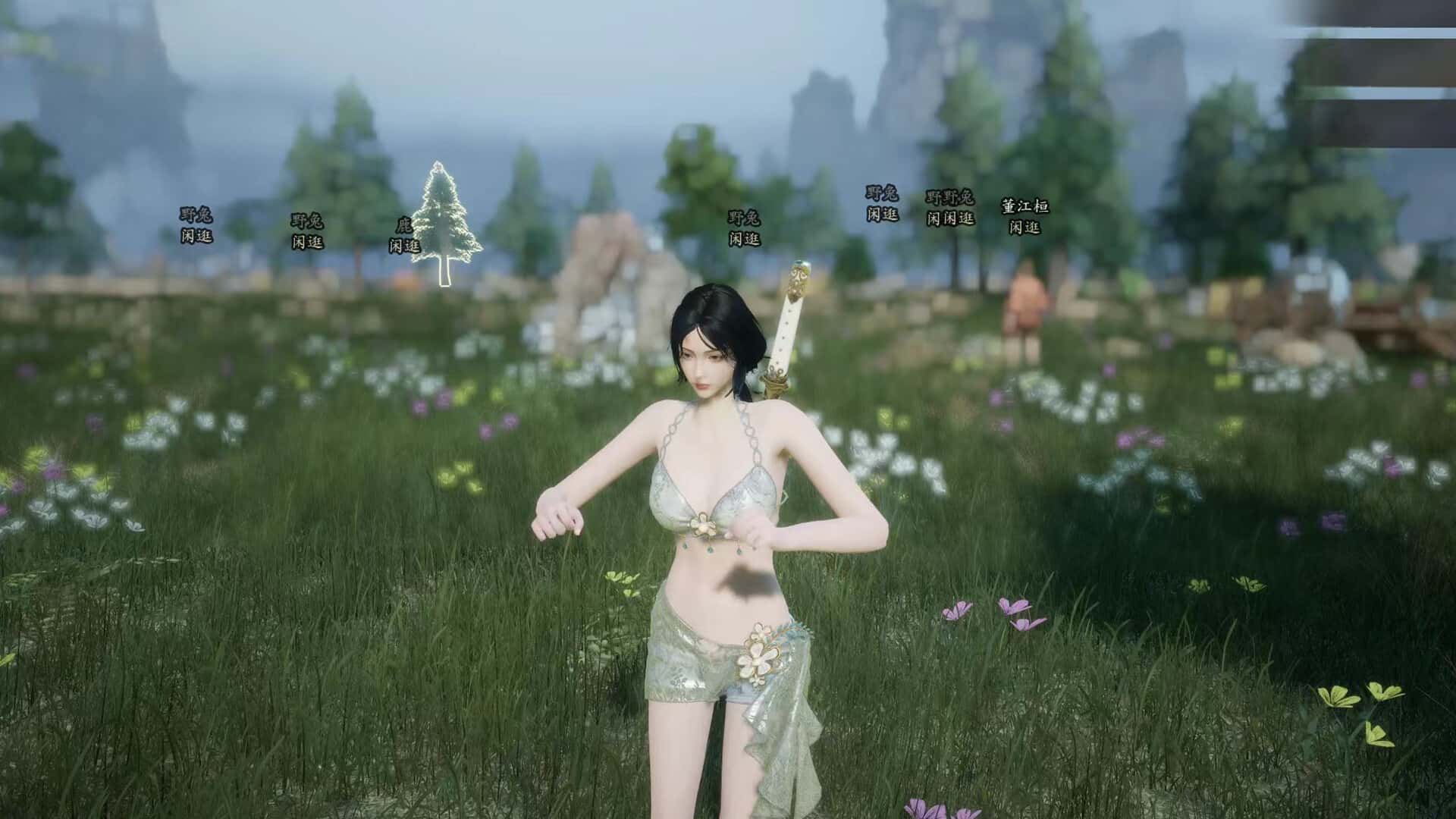 视觉数据5